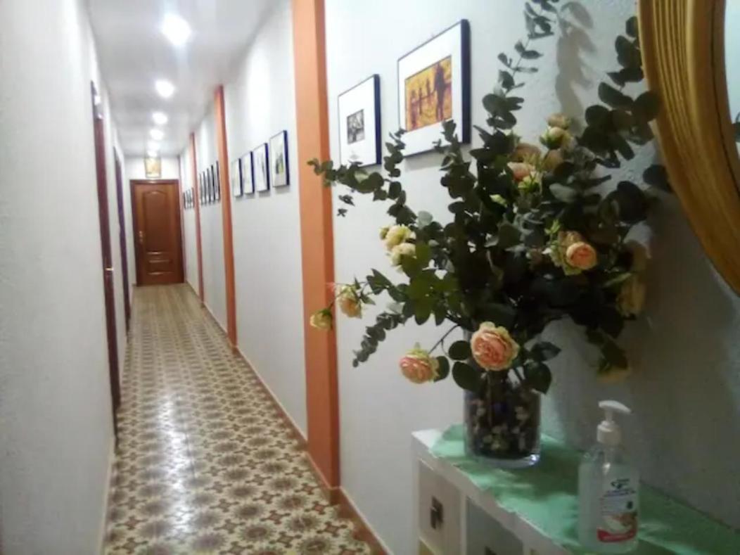 סרגוסה Las Golondrinas Habitacion En Piso Centrico Para Una O Dos Personas מראה חיצוני תמונה